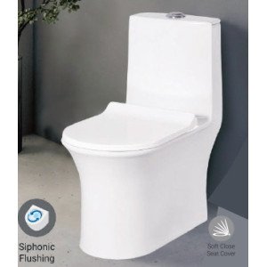 * Image does not represent exact Product Image LIZA ONE PIECE(Syphonic)